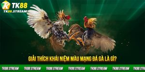 Giải thích khái niệm màu mạng đá gà là gì?