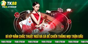 Bí kíp nắm chắc thuật ngữ đá gà để chiến thắng mọi trận đấu